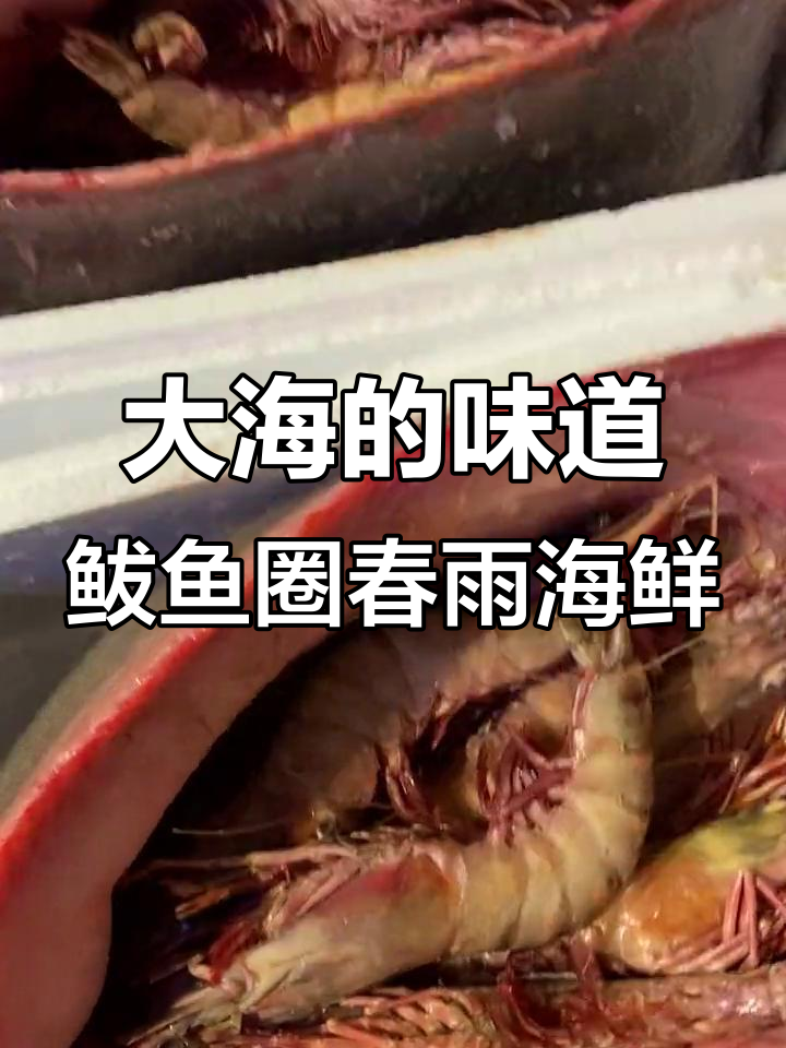 纯野生踏板鱼与大虎虾搭配,海鲜美味一网打尽