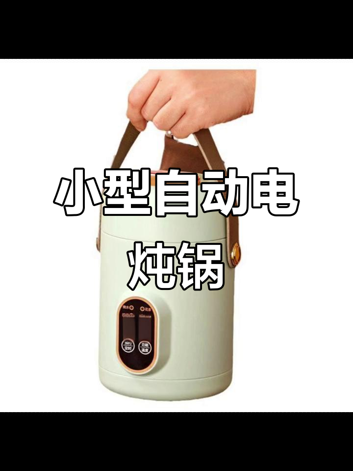 便携迷你电炖锅，办公室煮粥神器，陶瓷内胆全自动