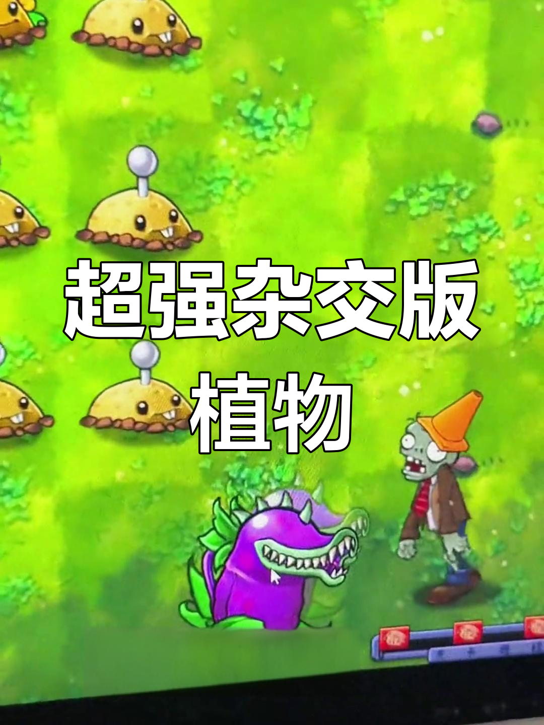 家庭版铁板鱿鱼,简单又美味,轻松学会!