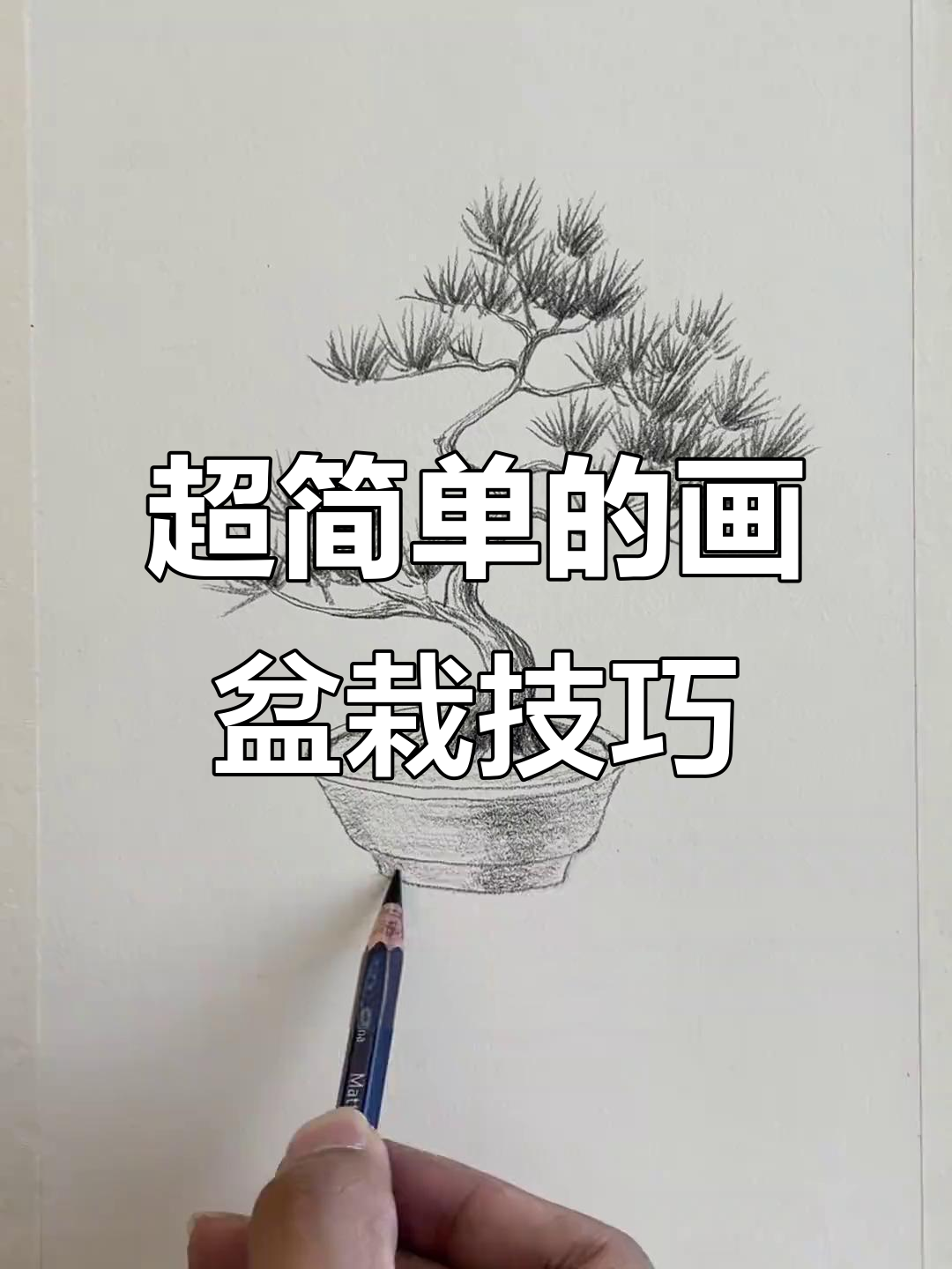 轻松学会画盆栽,简单步骤教你画出松树和花盆