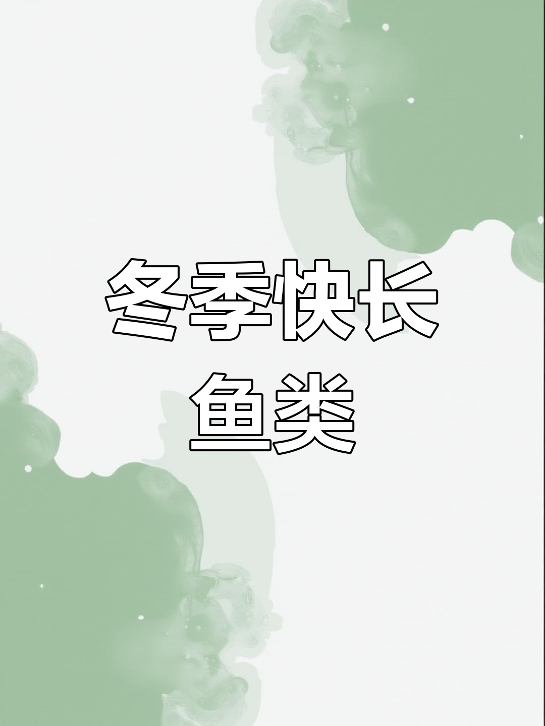 红眼银鳕鱼,冬季也能快速生长,适合各种水域养殖