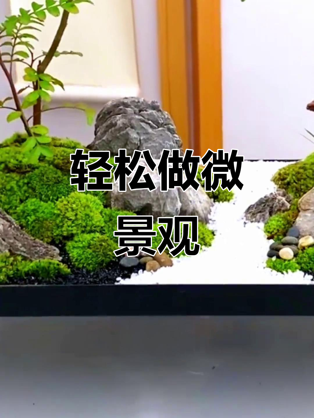 微景观制作全攻略:打造禅意流水桌面盆景