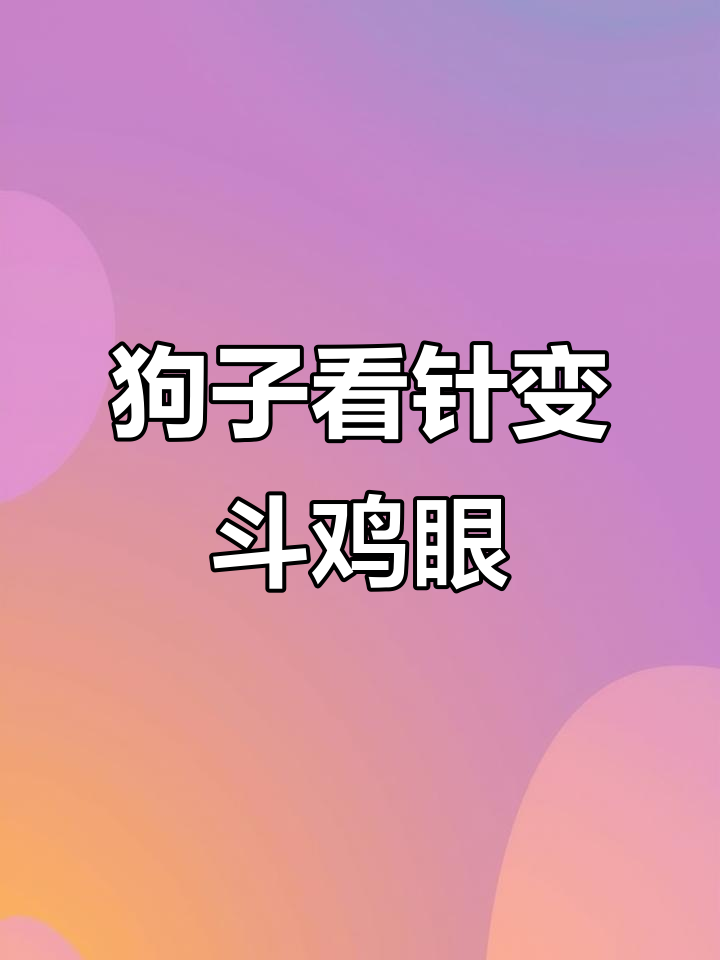 主人穿针时，狗狗成了斗鸡眼，笑翻了