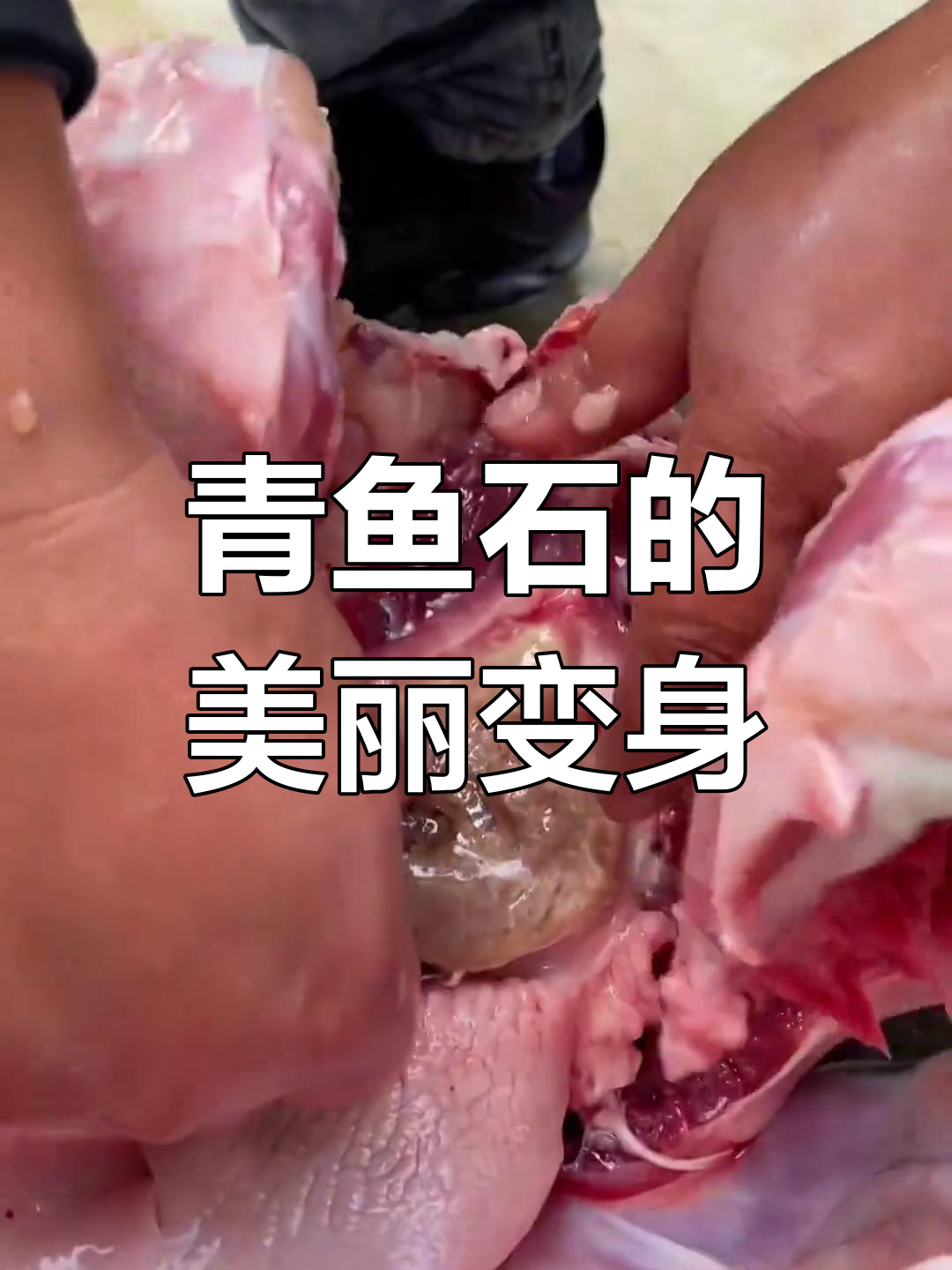 青鱼石打磨后变美,像宝石一样珍贵