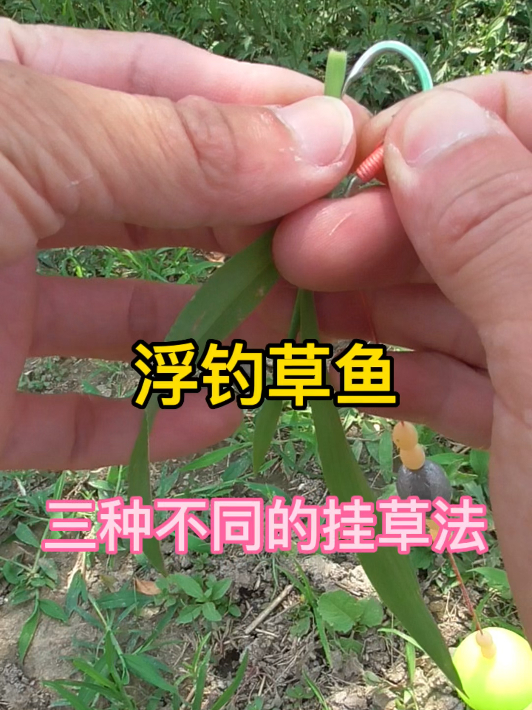 浮钓草鱼的三种不同挂草方法!