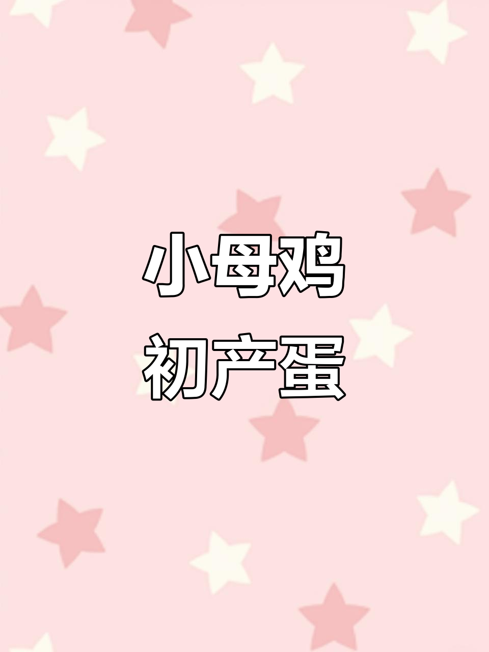 小母鸡开始下蛋,斗鸡养殖的挑战与乐趣