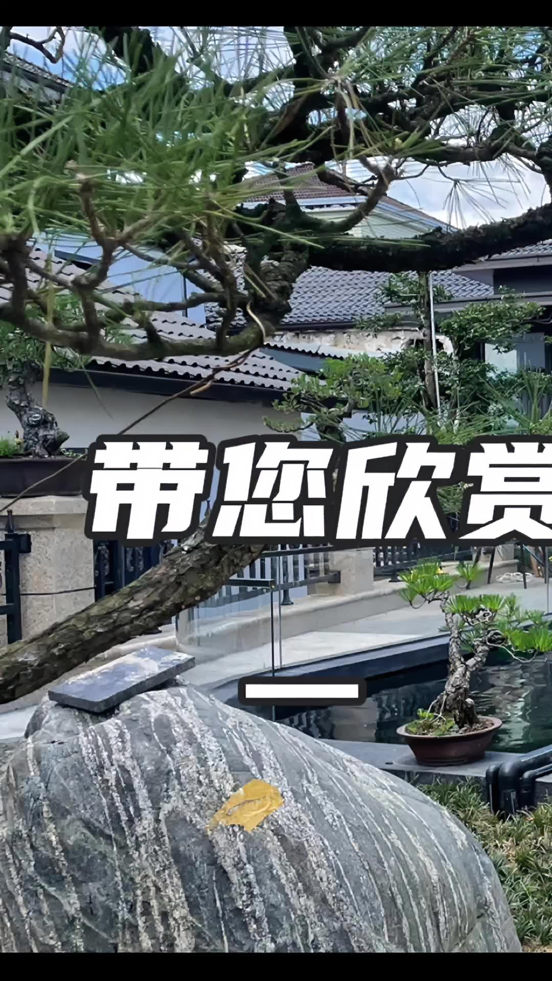 院有池塘,活色生香。别墅庭院鱼池就是那么美,煦瑞生态水带给你一汪清水,一池靓鱼。鱼池过滤 
