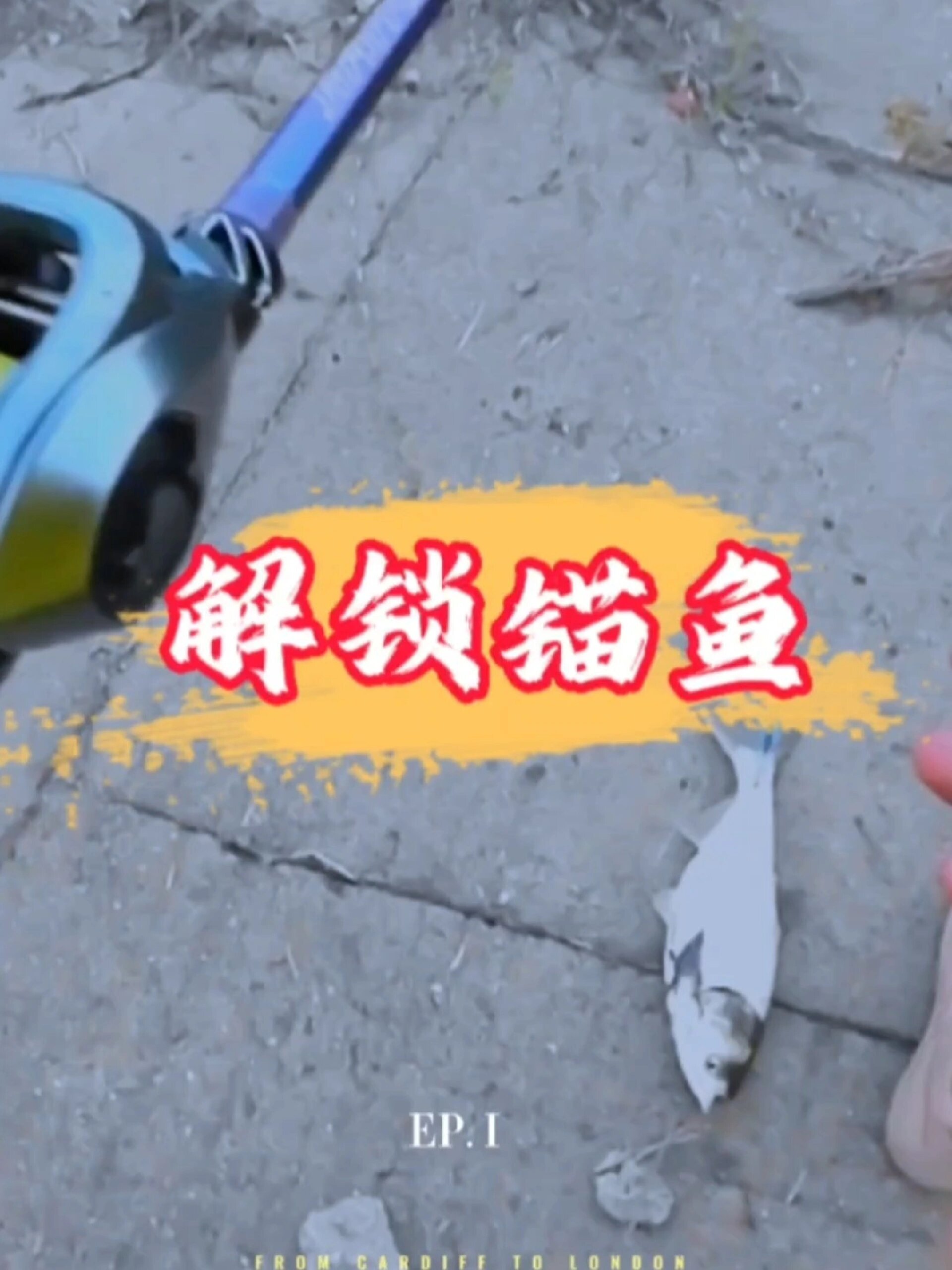 路亚解锁·锚鱼篇