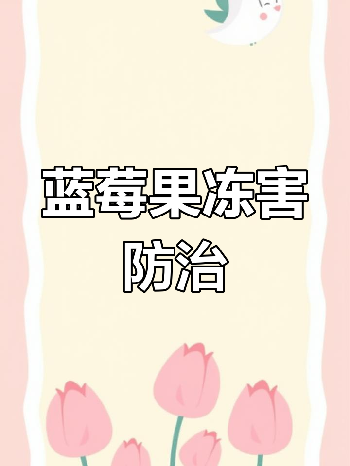 低温冻害如何影响蓝莓果实?预防与应对技巧揭秘