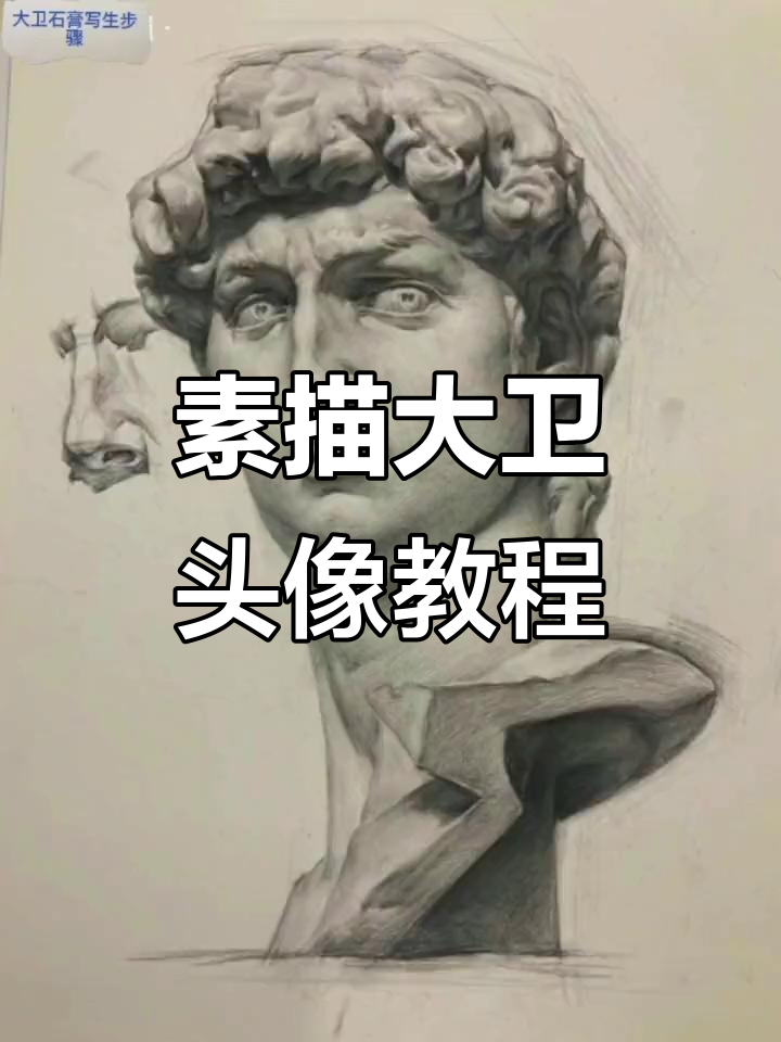 大卫照片写生步骤解析,轻松掌握素描技巧