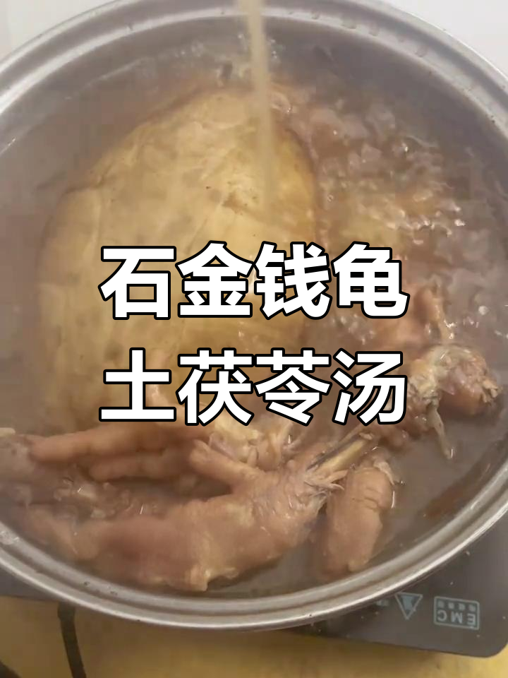 广东传统石金钱龟土茯苓汤,鲜美滋补,见者好运