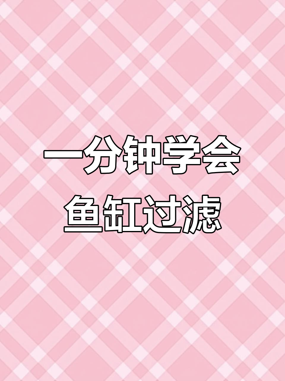 鱼缸物理过滤全解析:底滤、粗滤与精滤的完美搭配