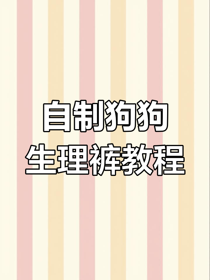 教你用口罩做狗狗生理裤,简单又实用