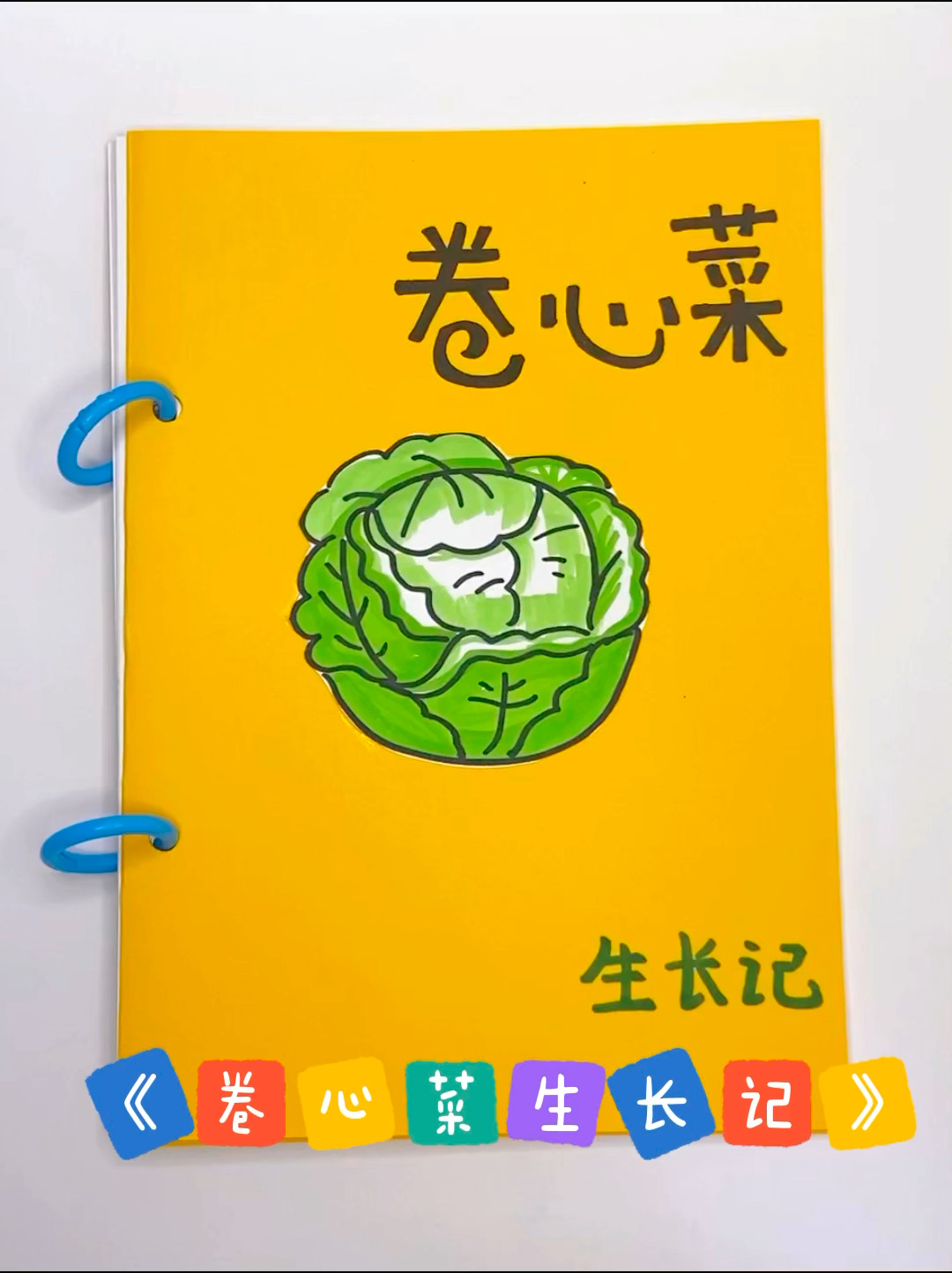 卷心菜生长记