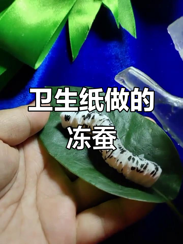 用卫生纸做一只遇水变活的蚕宝宝，简单又有趣