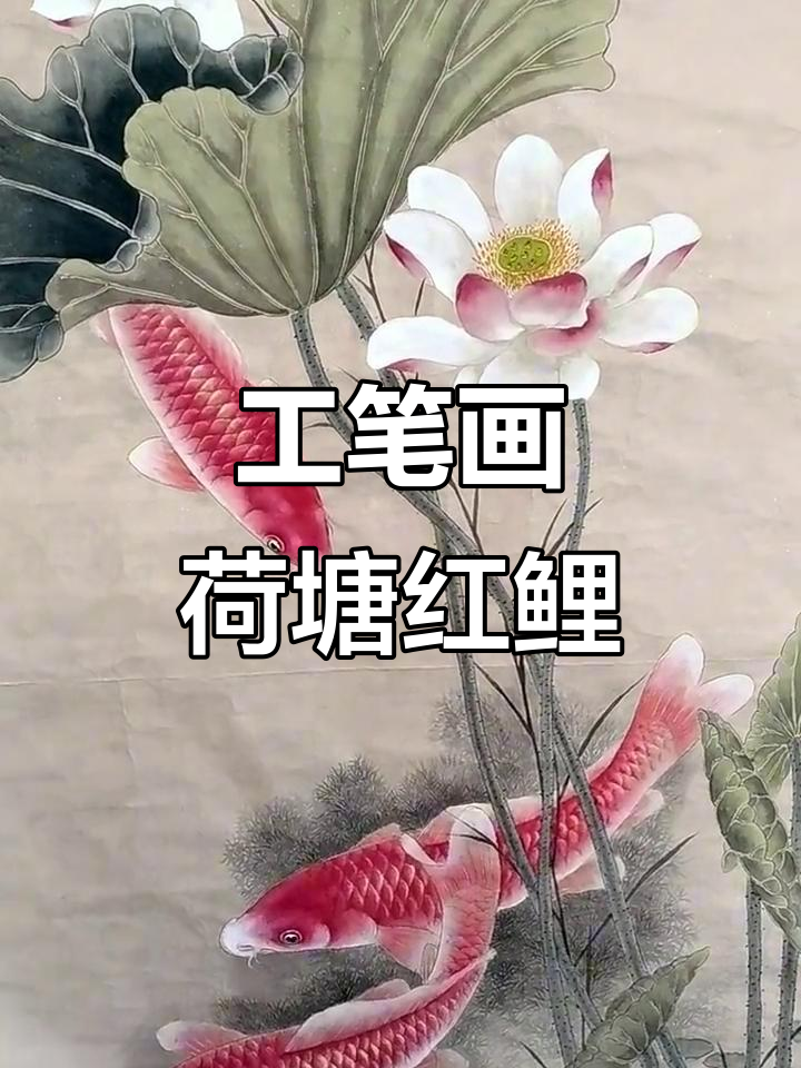 荷花与锦鲤的工笔画之美,细腻笔触展现自然和谐