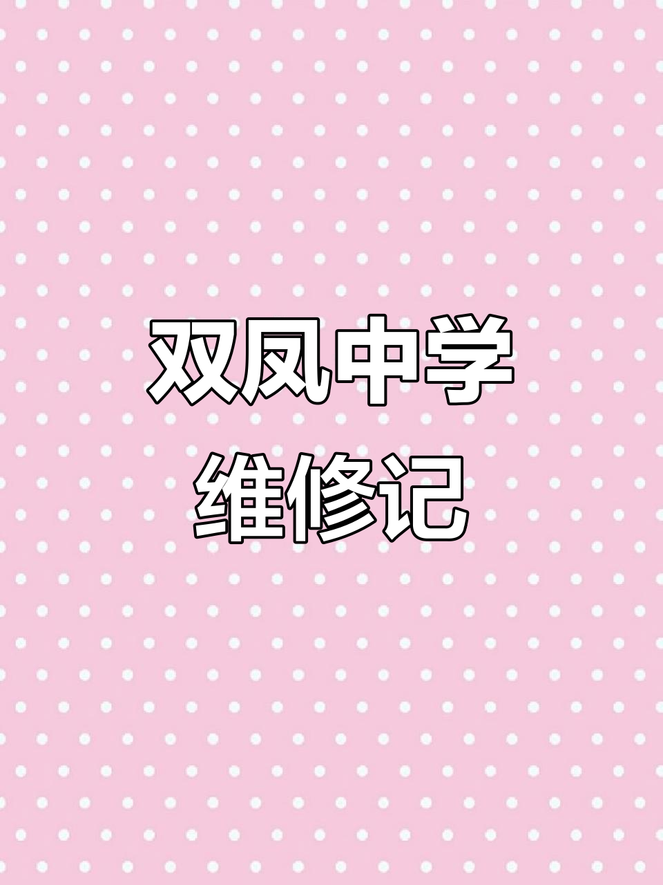 邵东中学维修,双凤乡的电脑大揭秘!