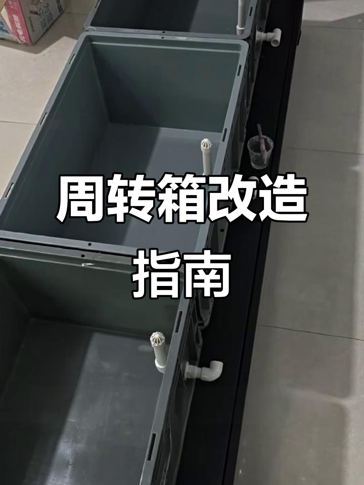 如何用周转箱打造鱼缸与过滤系统,架子排缸制作全解析
