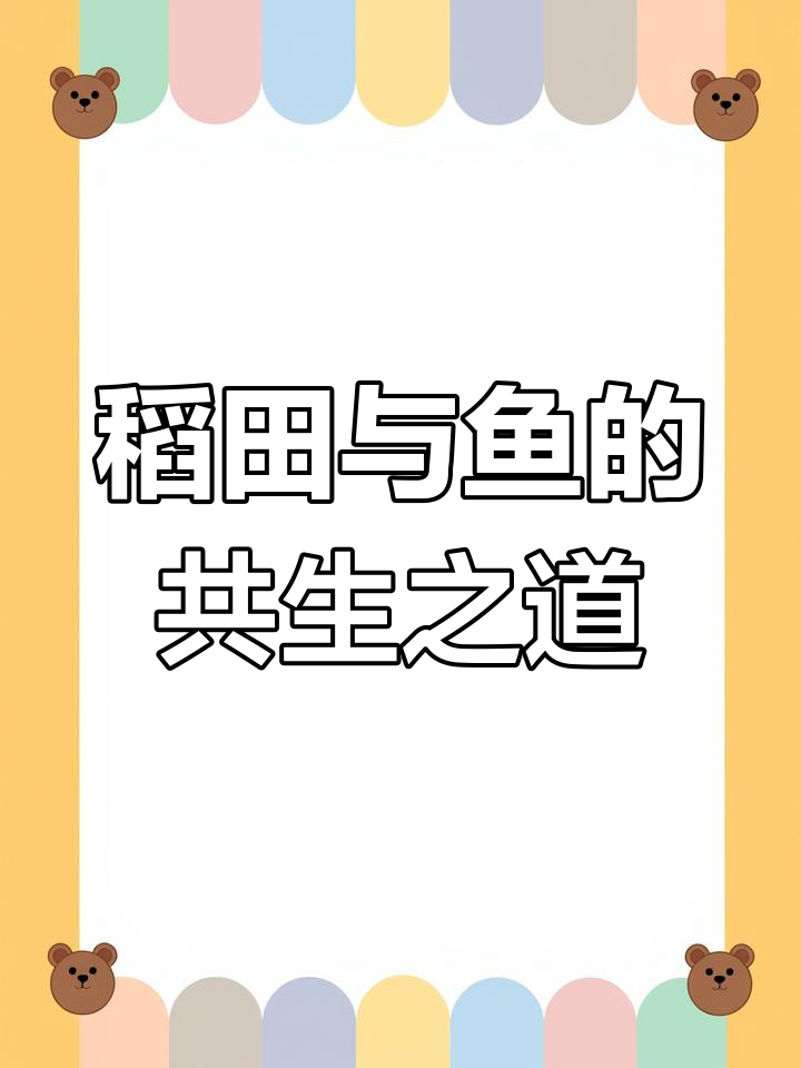 稻田养鱼新模式,提升农业效益