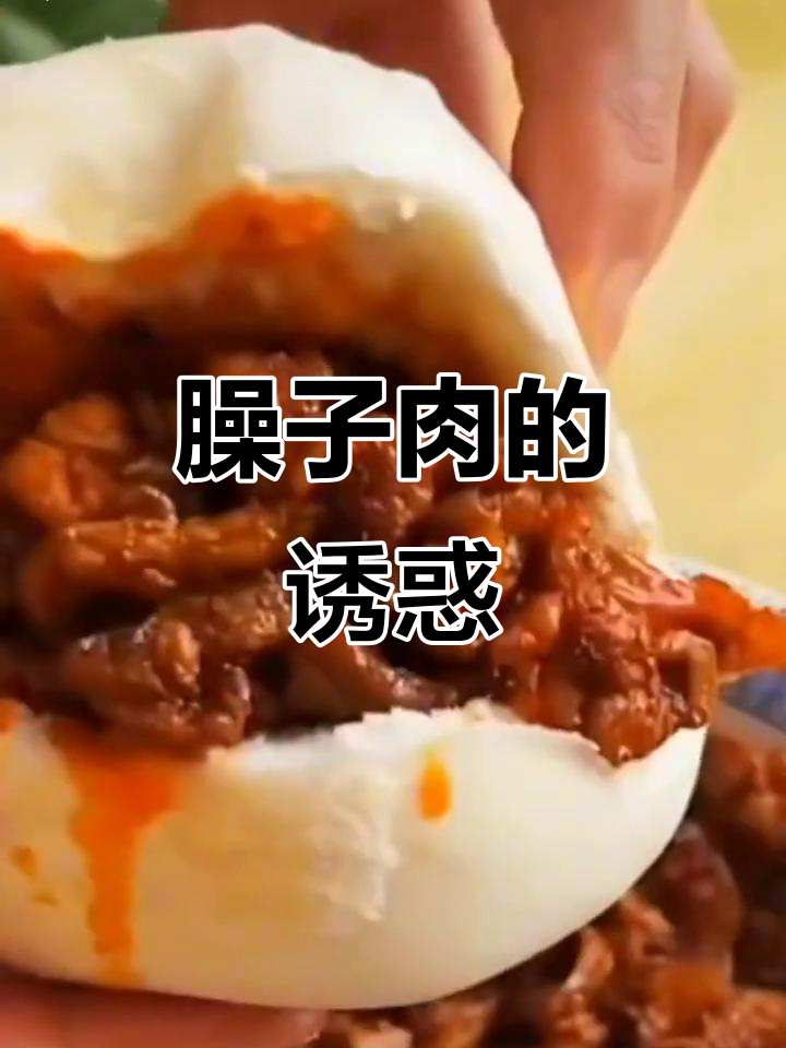 臊子肉夹馍拌面皆宜,陕西美味无法抗拒!