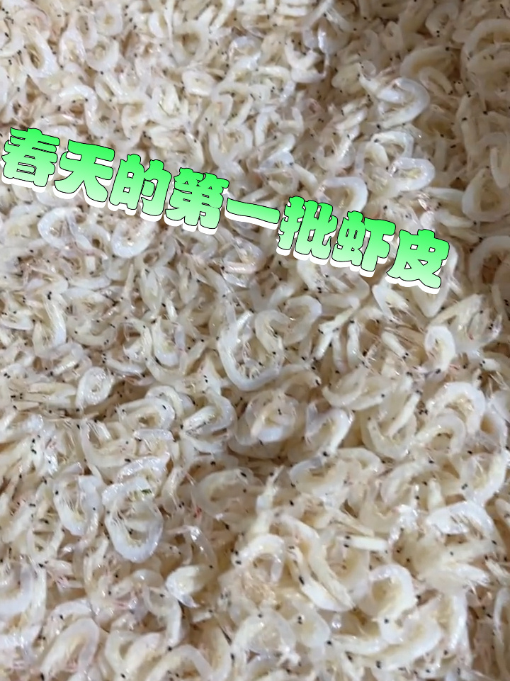 虾皮是怎么来哒?