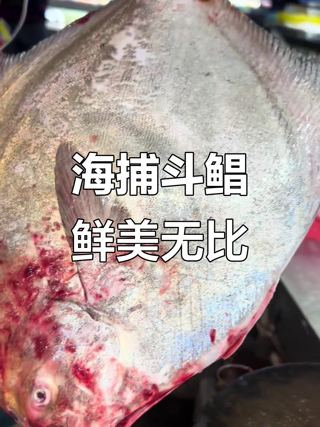野生海捕斗鲳,活鱼现杀尽享美味