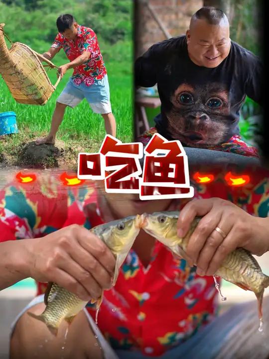 我的乡村生活 在农村最快乐的一件事,就是大雨过后在稻田捕鱼,回家做一顿最原始的美味生鲜给四