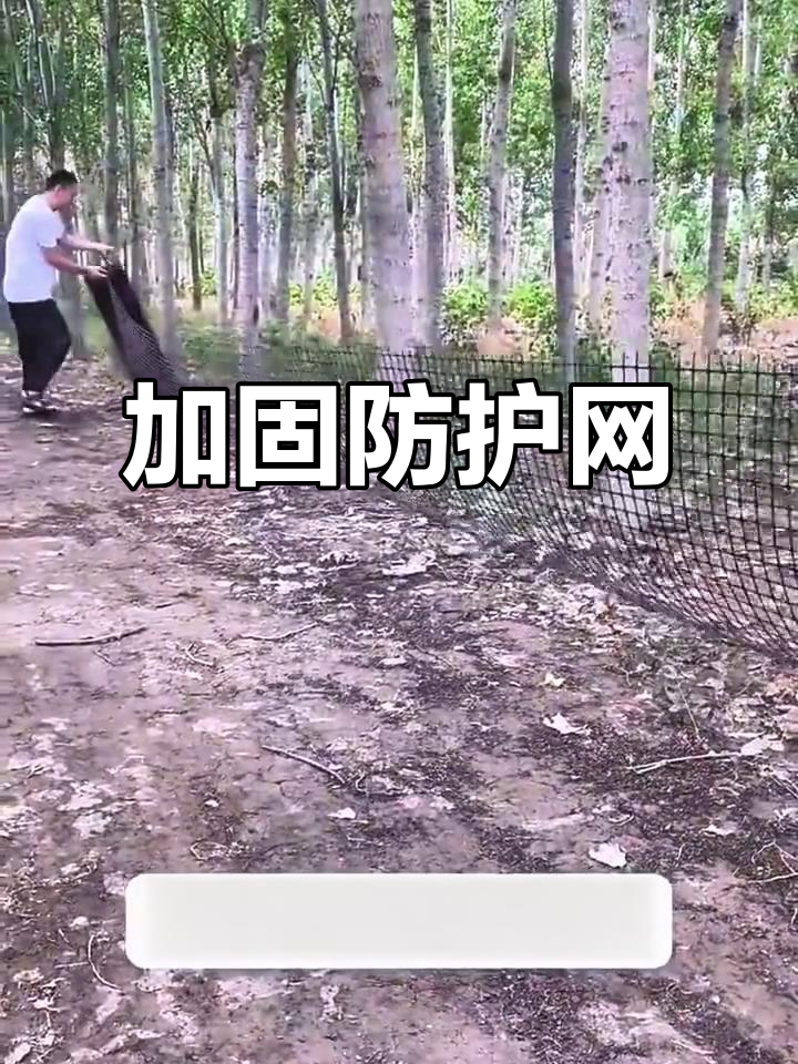 增强防护,加厚围栏保护菜园果园,防止鸡鸭闯入