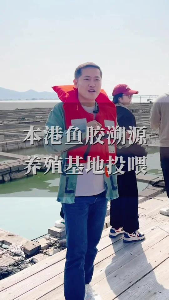 鱼胶养殖基地体验鳘鱼投喂