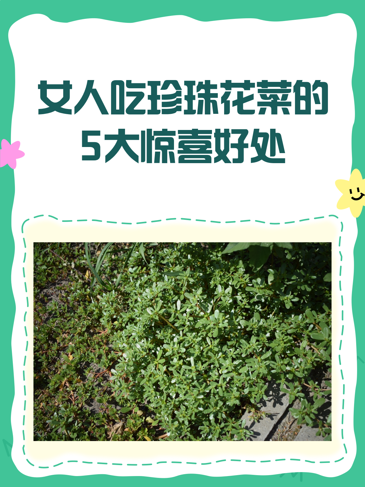 女性必看!吃珍珠花菜的5大好处,你了解吗?