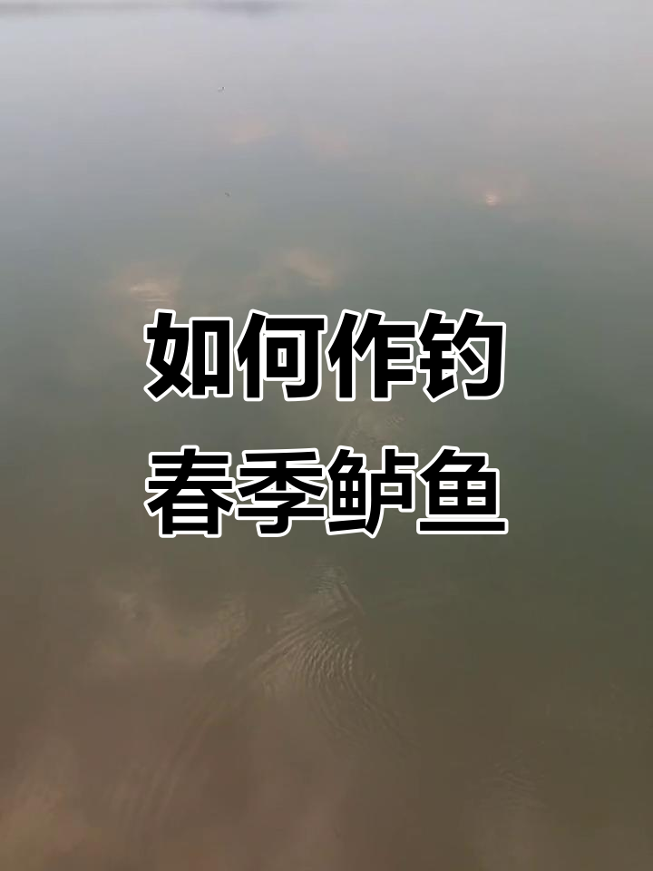 早春钓鲈鱼技巧，如何选择合适的倒掉钓组