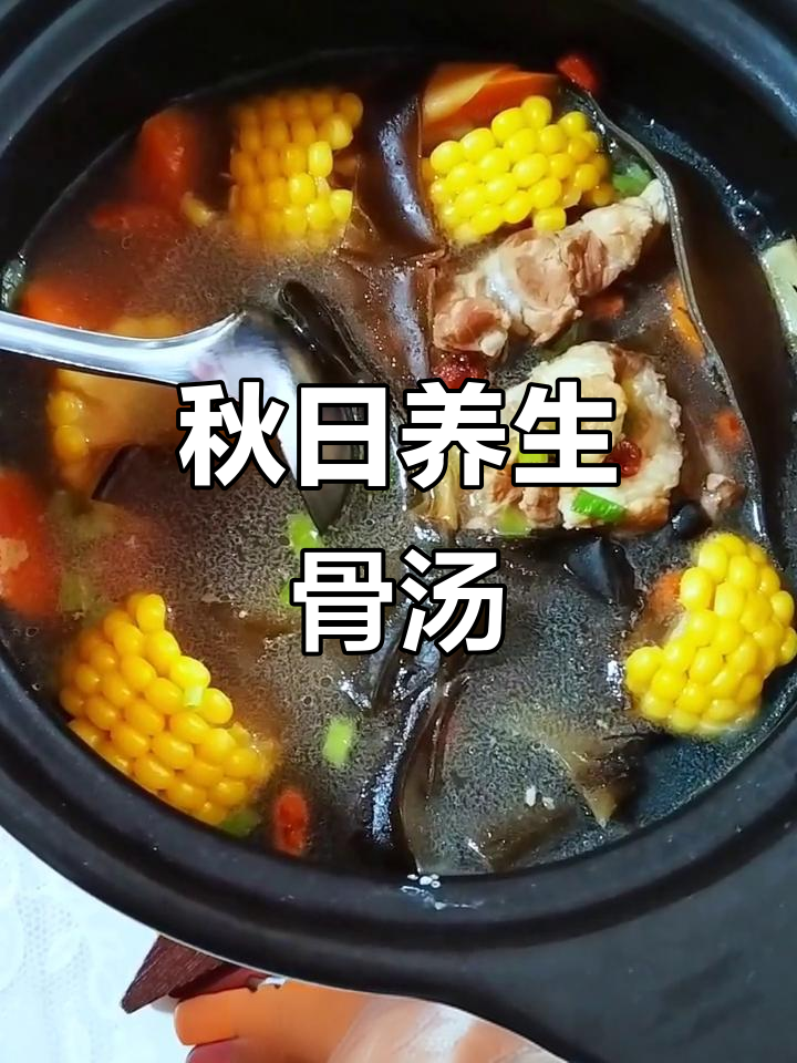 秋季暖心汤,骨头玉米搭配胡萝卜和海带炖出奶白香气