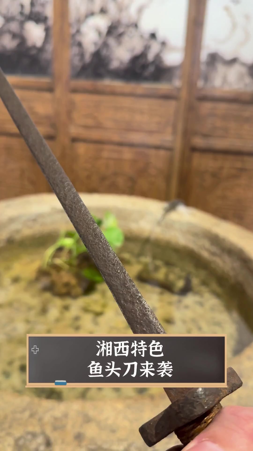 湘西特色,鱼头刀来袭