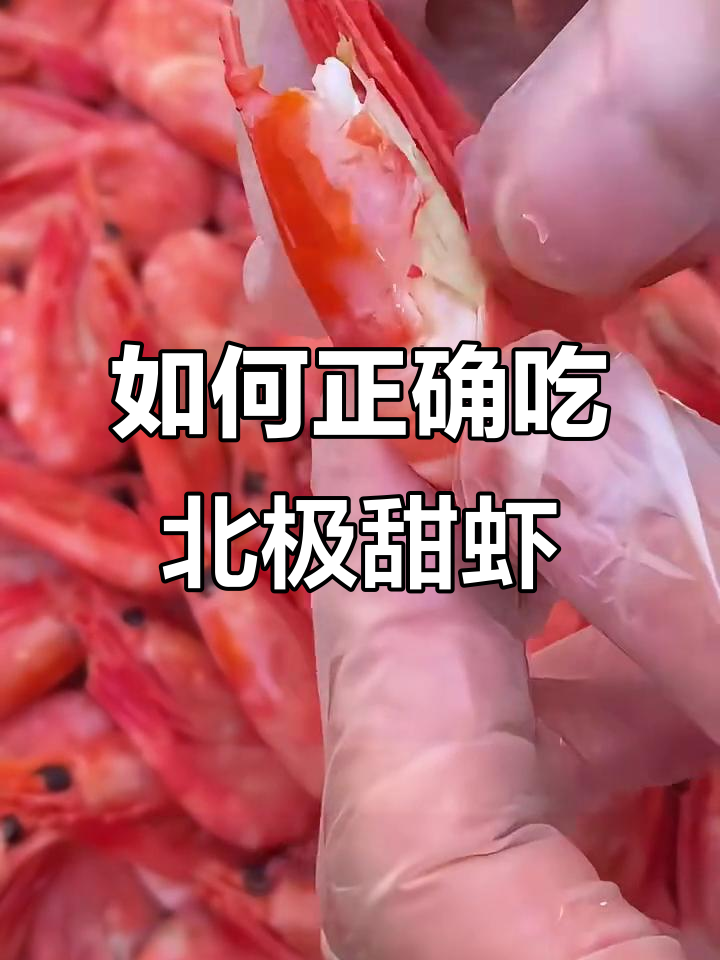 北极甜虾的正确吃法，轻松学会！