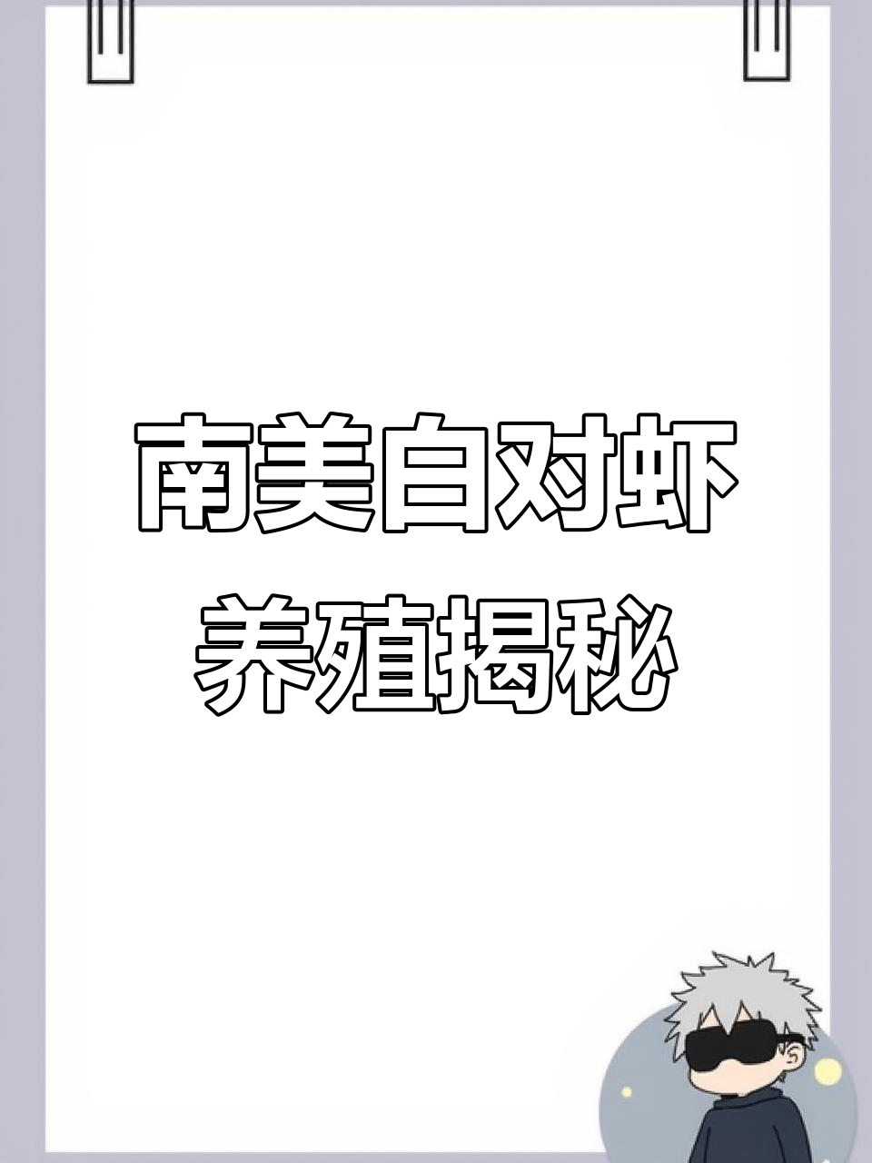 设施农业中的南美白对虾养殖,鱼菜共生新模式