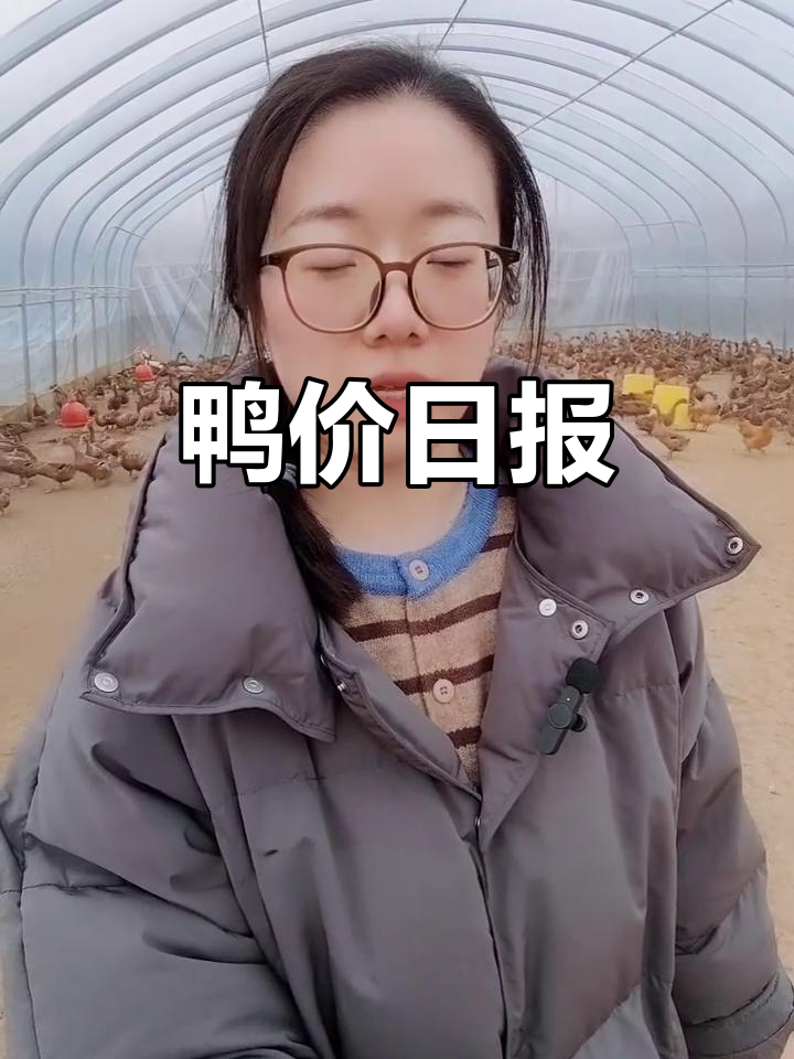 2026年1月30日鸭蛋与淘汰鸭价更新,养殖动态尽览!