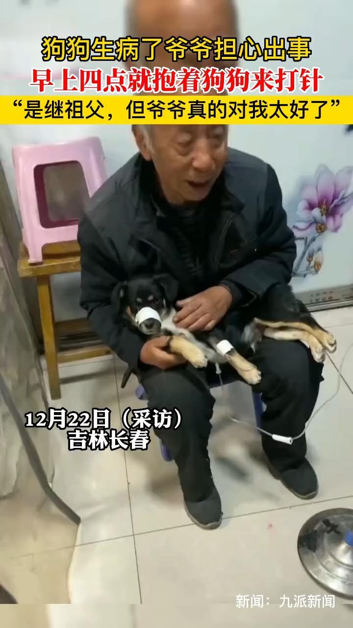 狗狗生病了爷爷担心出事 早上四点就抱着狗狗来打针 “是继祖父,但爷爷真的对我太好了”