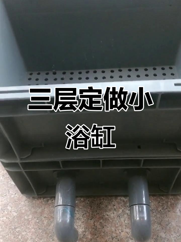 定制三层地救箱，打造小型生态鱼缸