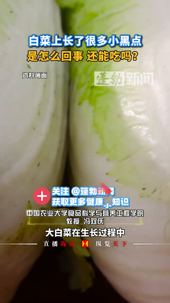 白菜上长了很多小黑点是怎么回事,还能吃吗?