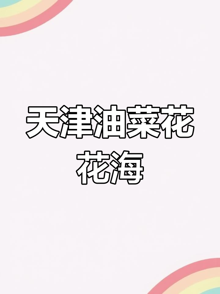 天津五大油菜花海,踏春赏金黄美景