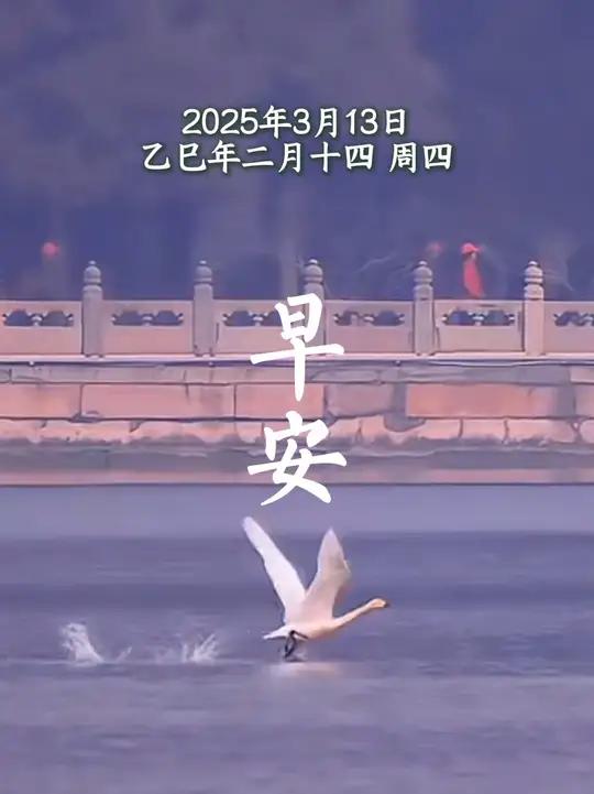 时光温柔,万物静好。早安,愿你如白天鹅一般高贵优雅,从容自由