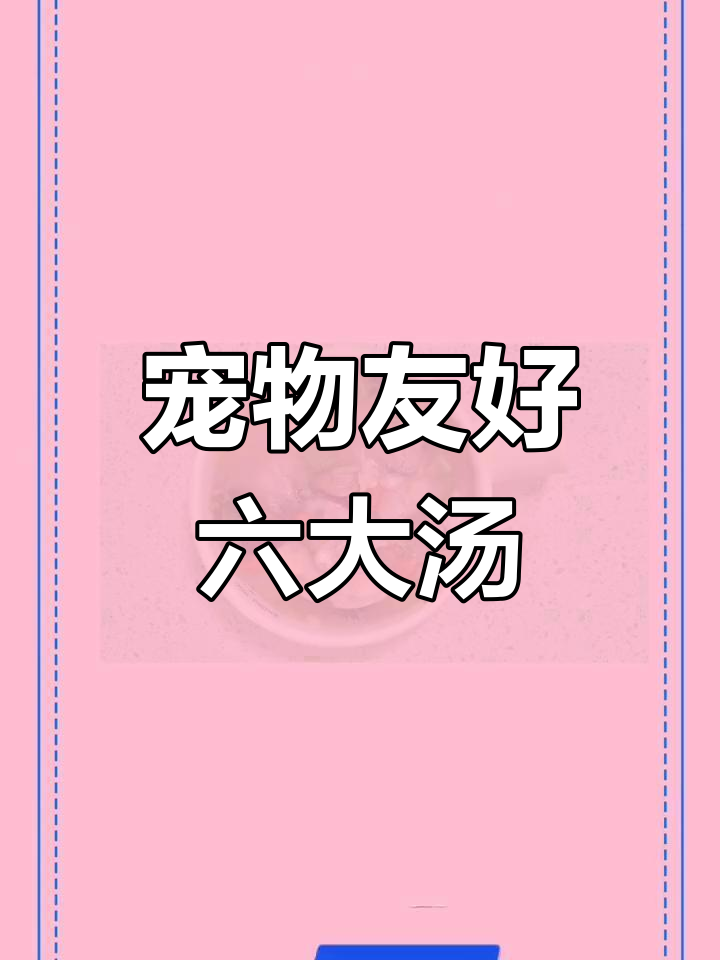 狗狗能喝的六种营养汤