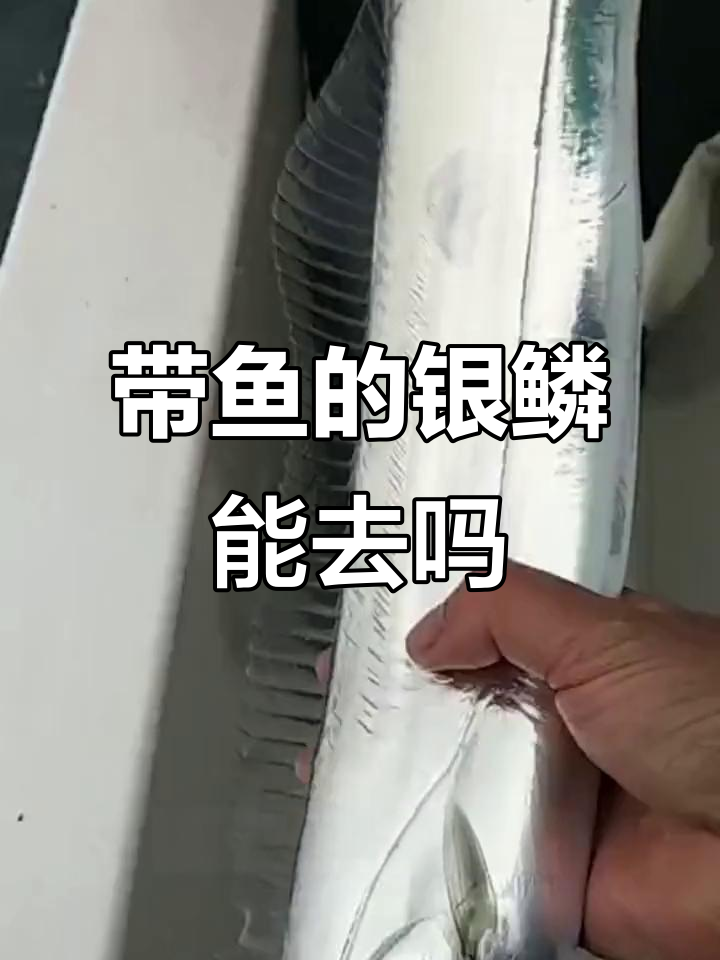 带鱼鳞片到底该不该刮?营养价值超乎想象