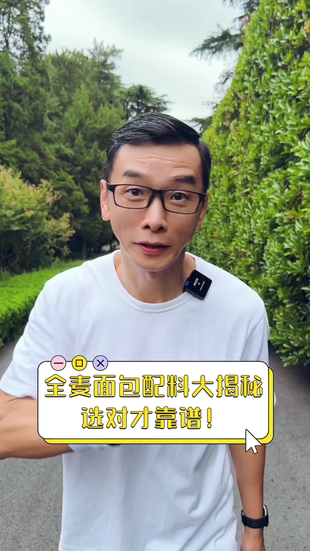 全麦面包配料大揭秘,选对才靠谱!