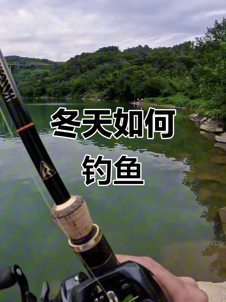 冬季钓鳜鱼技巧大揭秘,轻松掌握路亚方法