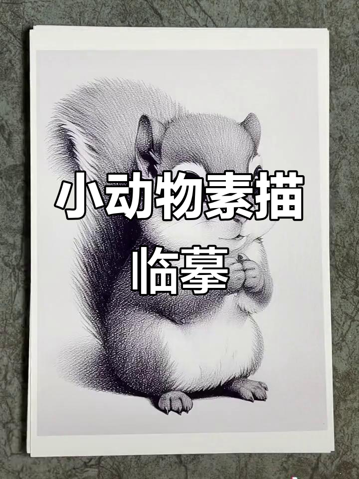 素描小动物临摹卡,30张A5尺寸可爱卡通