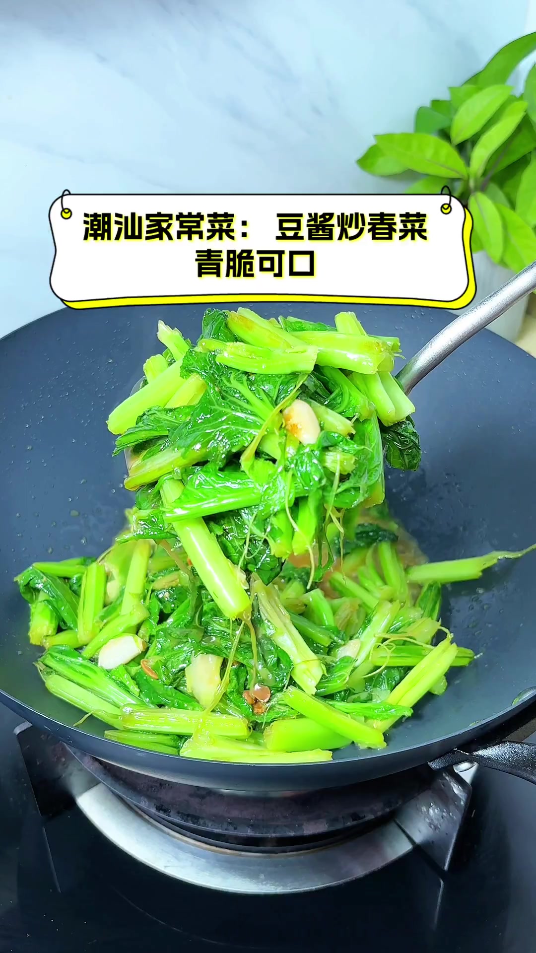 潮汕家常菜:豆酱炒春菜,青脆可口