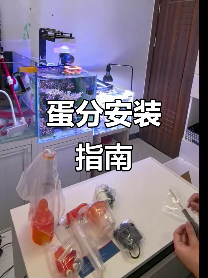 红海星蛋分安装教程,背滤缸必备!