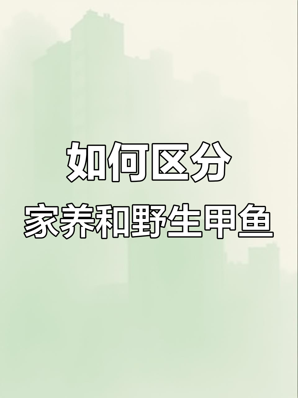 生态甲鱼与土甲鱼的辨别,哪个才是真正的纯天然?