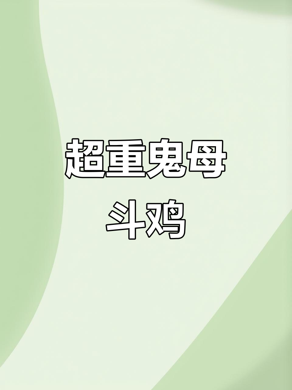 挑战极限！7斤半超级鬼母的斗鸡对决